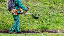 Freischneider, Motorsensen, Rasentrimmer