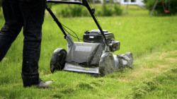 Handgeführte Rasenmäher