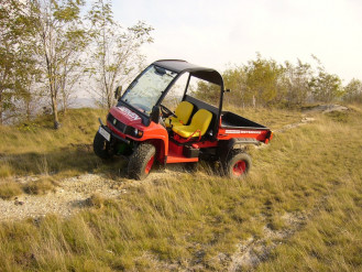 Quad Gator 4x4 mit Ladefläche 