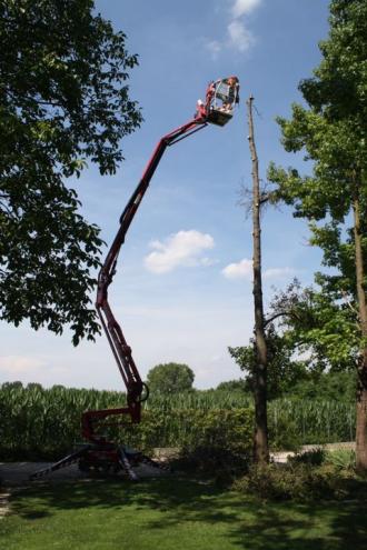 Arbeitsbühne auf Gummikette Lightlift 17.75:  17 m Arbeitshöhe | 7,50 m Reichweite | Elektro/Benzin
