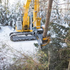 Baumschere TMK 300 mit MS08 mieten