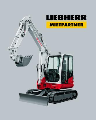 Takeuchi Minibagger TB250-2 Rostock