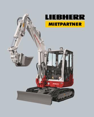 Takeuchi Minibagger TB240 Lingen (Ems)