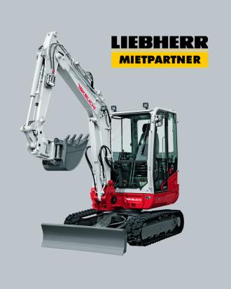 Takeuchi Minibagger TB235-2 Rostock
