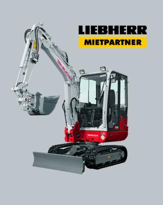 Takeuchi Minibagger TB230 Rostock