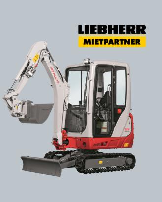 Takeuchi Minibagger TB216 