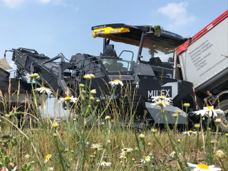 Asphaltbeschicker Offset mit Schwenkband bundesweites Einsatzgebiet 