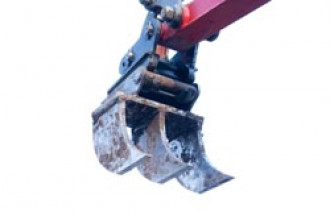 Wurzelreißzähne mit Aufnahme MS01, Höhe: 25cm Breite: 50cm 