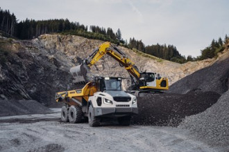 Liebherr TA 230 Knickgelenkter Muldenkipper Plauen