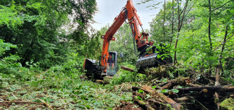 Forstmulcher / Mulchfräse Prinoth M450e-900
