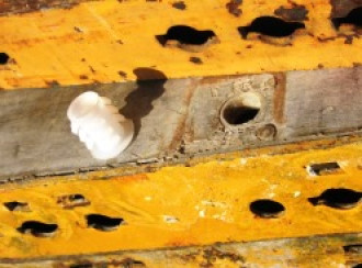 Abdeckstopfen für Ulma Comain Ø 20 mm Schalung-Zubehör