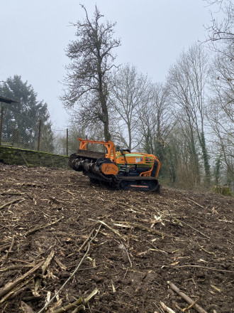 Mulchraupe mit Fahrer Forstmulcher Schlegelmulcher 