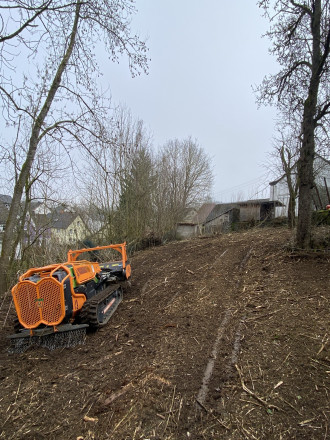 Mulchraupe mit Fahrer Forstmulcher Schlegelmulcher