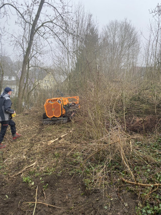 Mulchraupe mit Fahrer Forstmulcher Schlegelmulcher