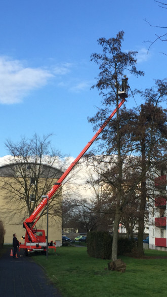 LKW-Arbeitsbühne TB 270:  auf 3.5 t | 27 m Arbeitshöhe | 14,80 m Reichweite