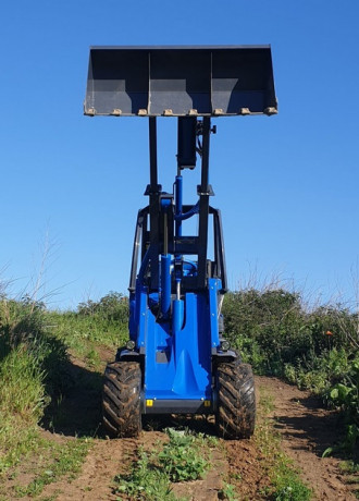 Mini Radlader MultiOne