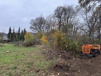 Ferngesteuerte Mulchraupe mit Forst- oder Schlegelmulcher