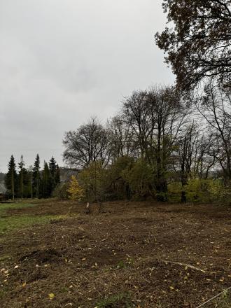 Ferngesteuerte Mulchraupe mit Forst- oder Schlegelmulcher