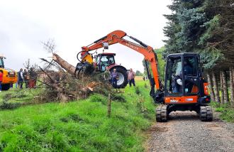 Fällgreifer Schnellwechsler MS03 für Bagger 4 - 6 t 