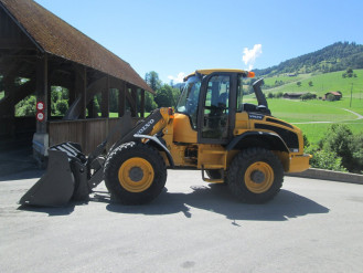 Volvo L45 GS Radlader 10 to Luzern