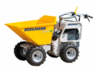 Bergmann C301 Benzin Siegen
