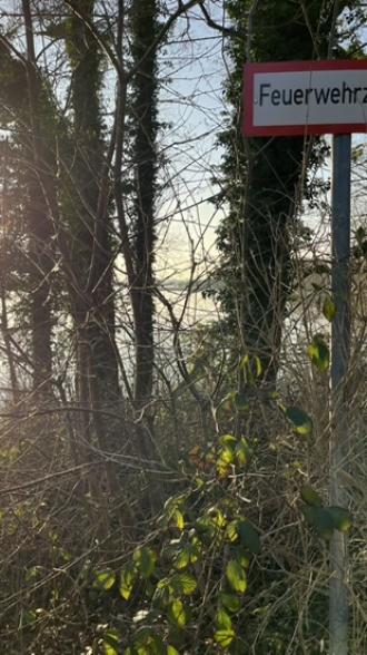 Wspinaczka po schodach, do: 600 kg I zawsze z 1 operatorem zapewnionym przez nas