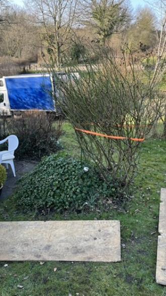 Wspinaczka po schodach, do: 400 kg I zawsze z 1 operatorem zapewnionym przez nas