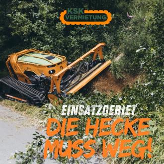 MDB LV600 Pro Funkraupe mit Forstmulcher 