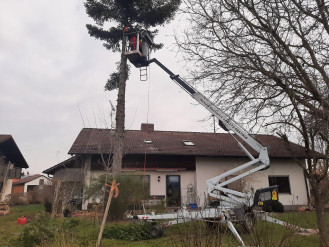 Anhängerarbeitsbühne Dino 160XT